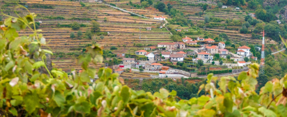 Top 8 Best Day Trips from Santiago, Chile