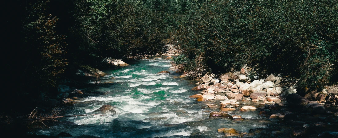 Best Nature Reserves and Parks for a Day Trip from Santiago