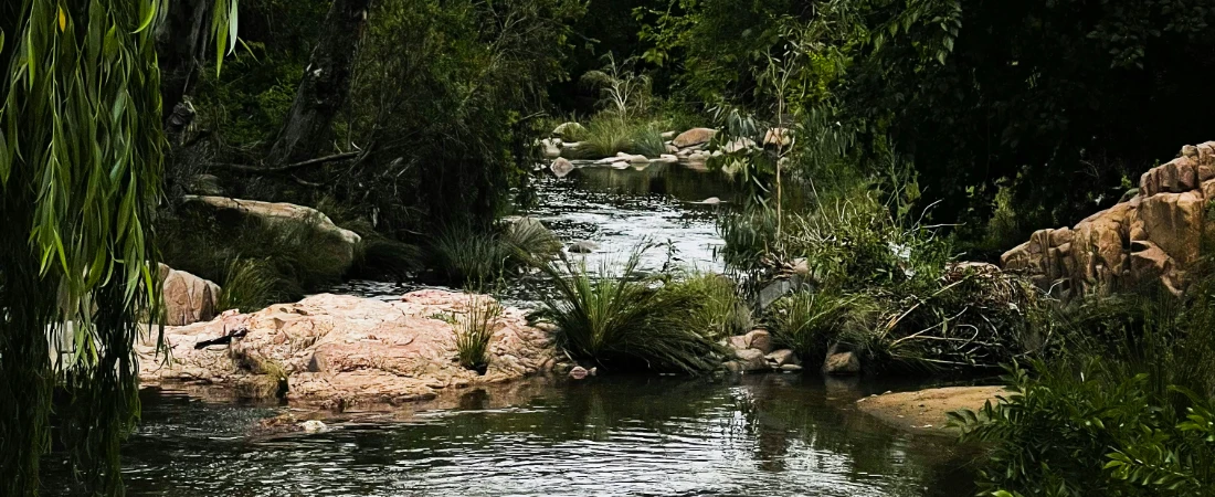 Best Nature Reserves and Parks for a Day Trip from Santiago
